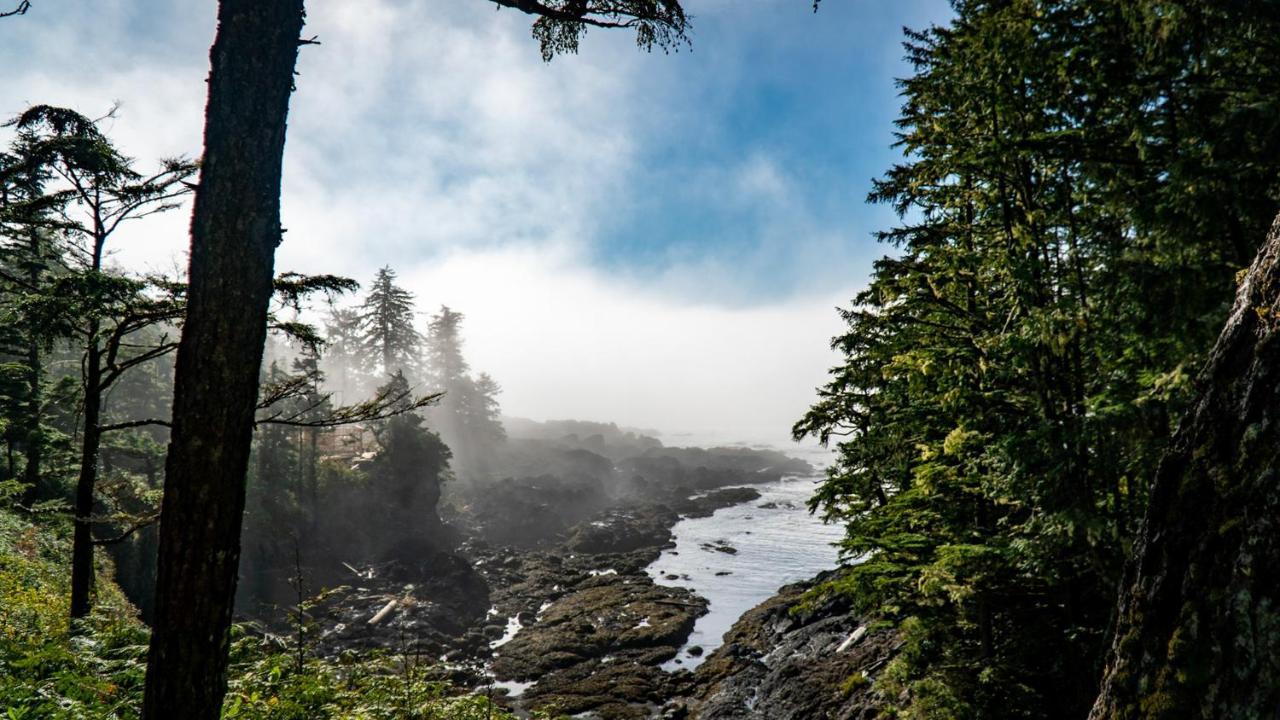 Odyssey Shores Guest Suite Ucluelet Luaran gambar