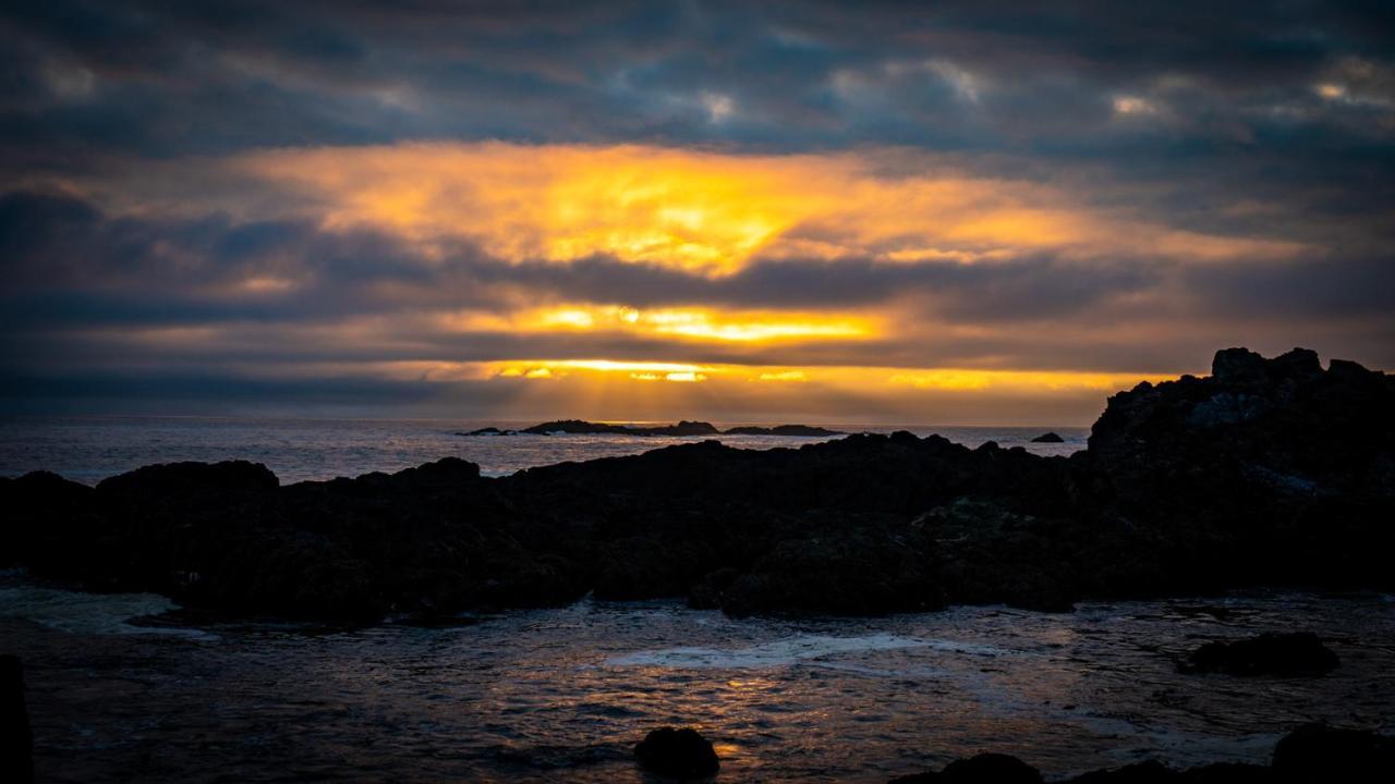 Odyssey Shores Guest Suite Ucluelet Luaran gambar