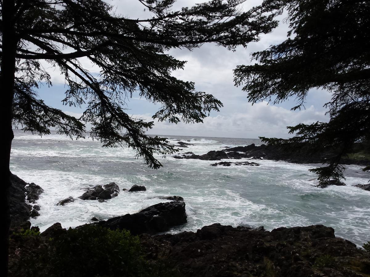 Odyssey Shores Guest Suite Ucluelet Luaran gambar