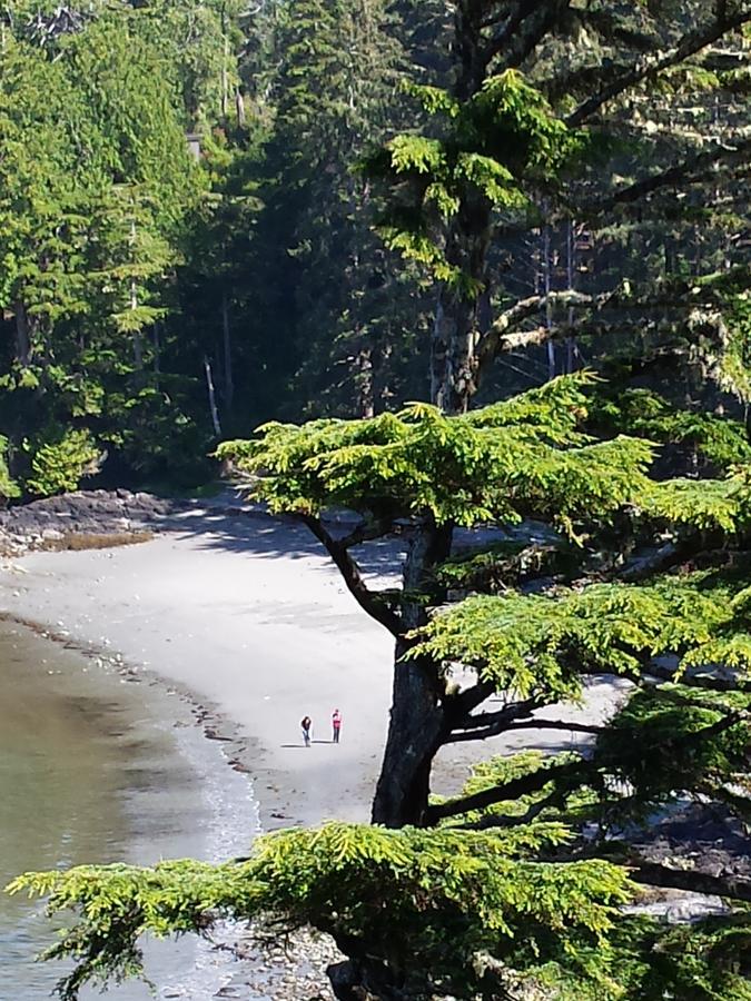 Odyssey Shores Guest Suite Ucluelet Luaran gambar