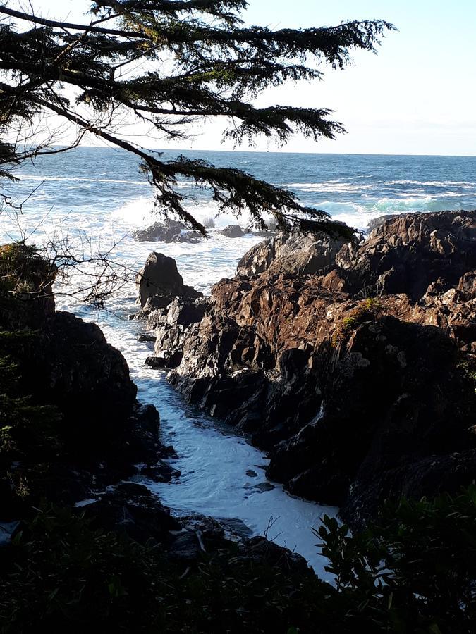 Odyssey Shores Guest Suite Ucluelet Luaran gambar