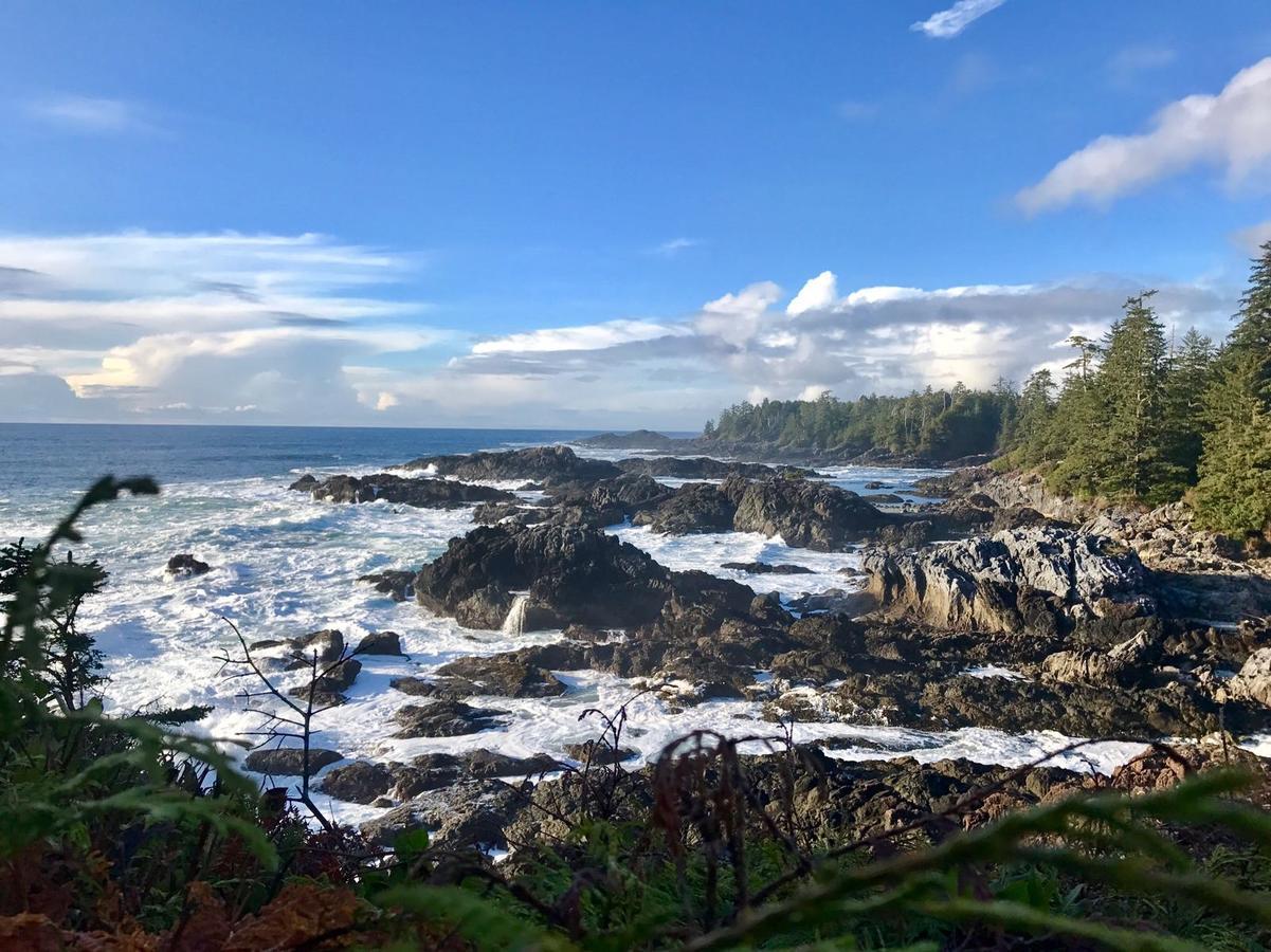 Odyssey Shores Guest Suite Ucluelet Luaran gambar