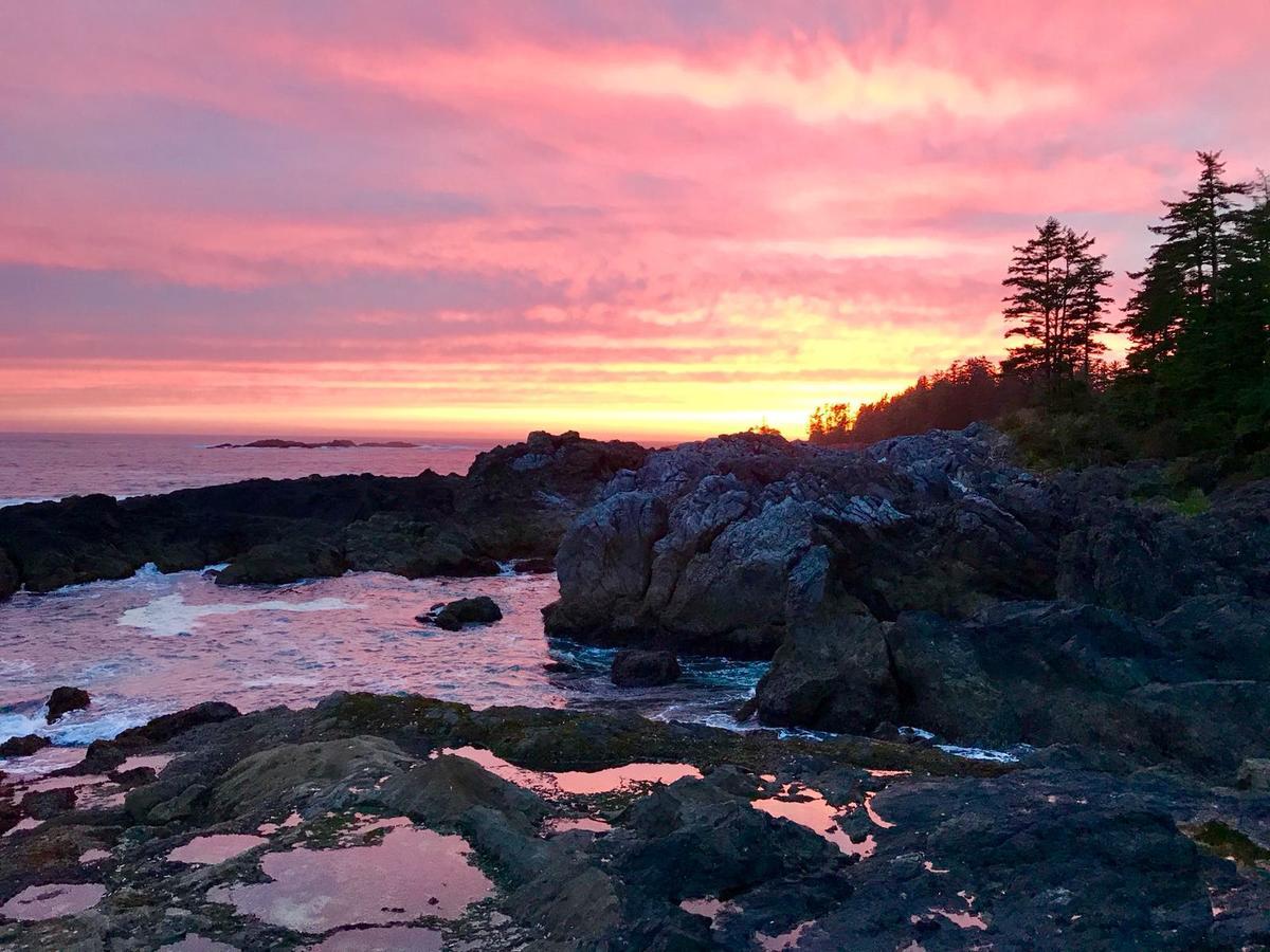 Odyssey Shores Guest Suite Ucluelet Luaran gambar