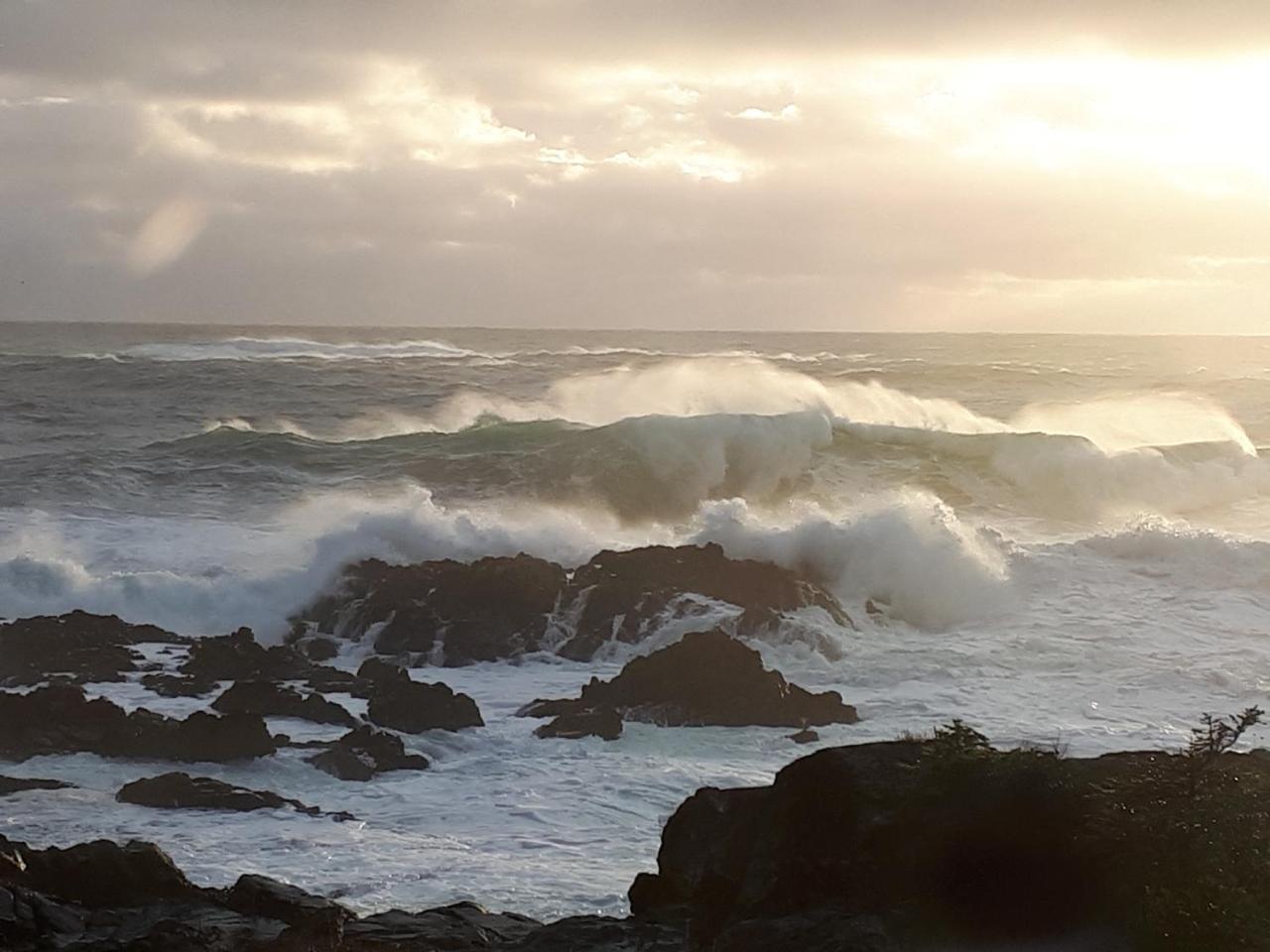 Odyssey Shores Guest Suite Ucluelet Luaran gambar